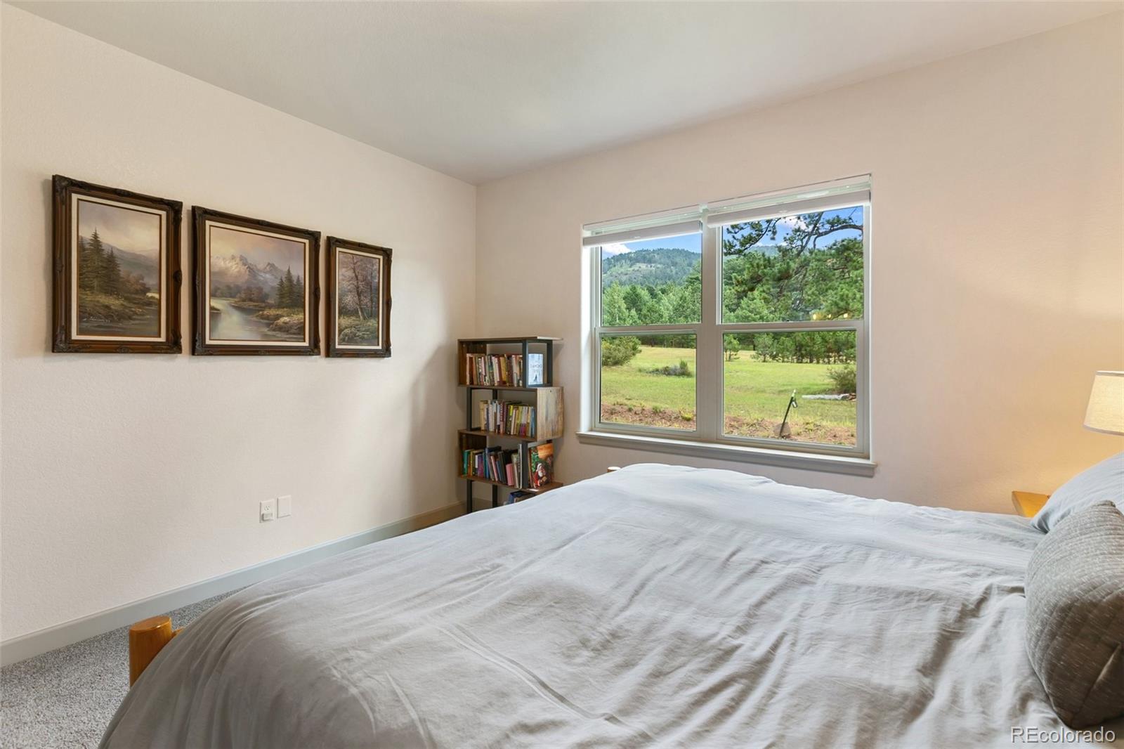 MLS Image #17 for 512  brecken court,woodland park, Colorado