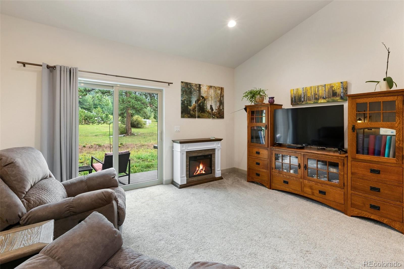 MLS Image #3 for 512  brecken court,woodland park, Colorado