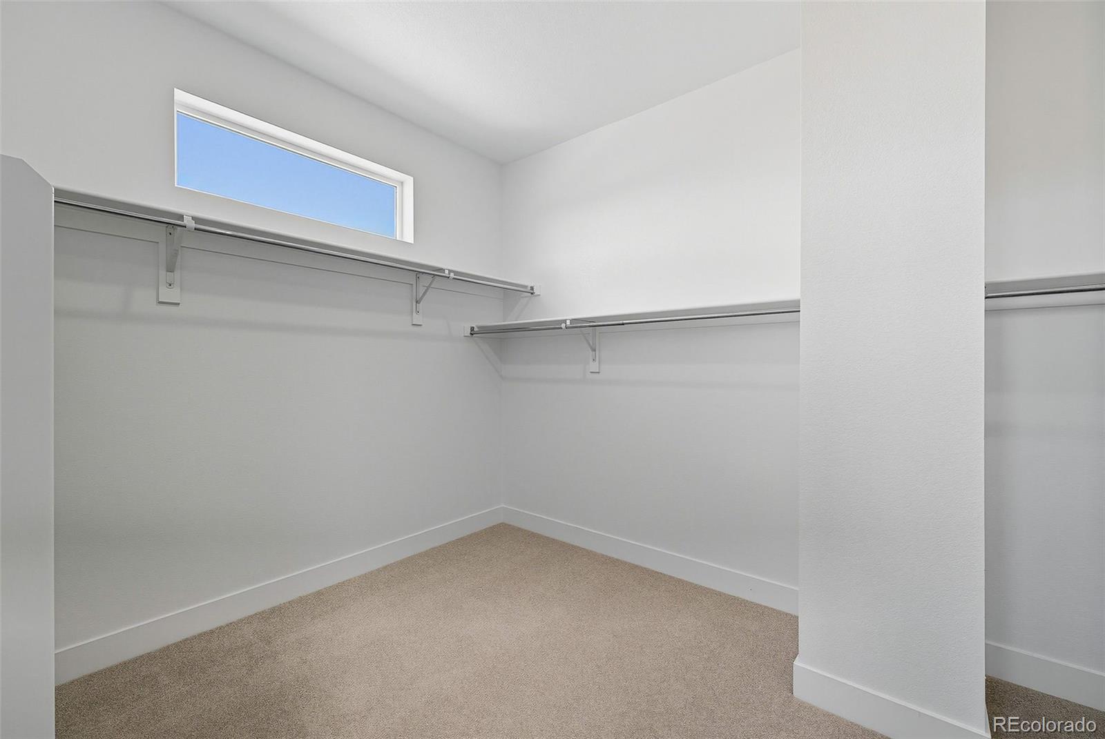 MLS Image #22 for 3993  breakcamp court,castle rock, Colorado