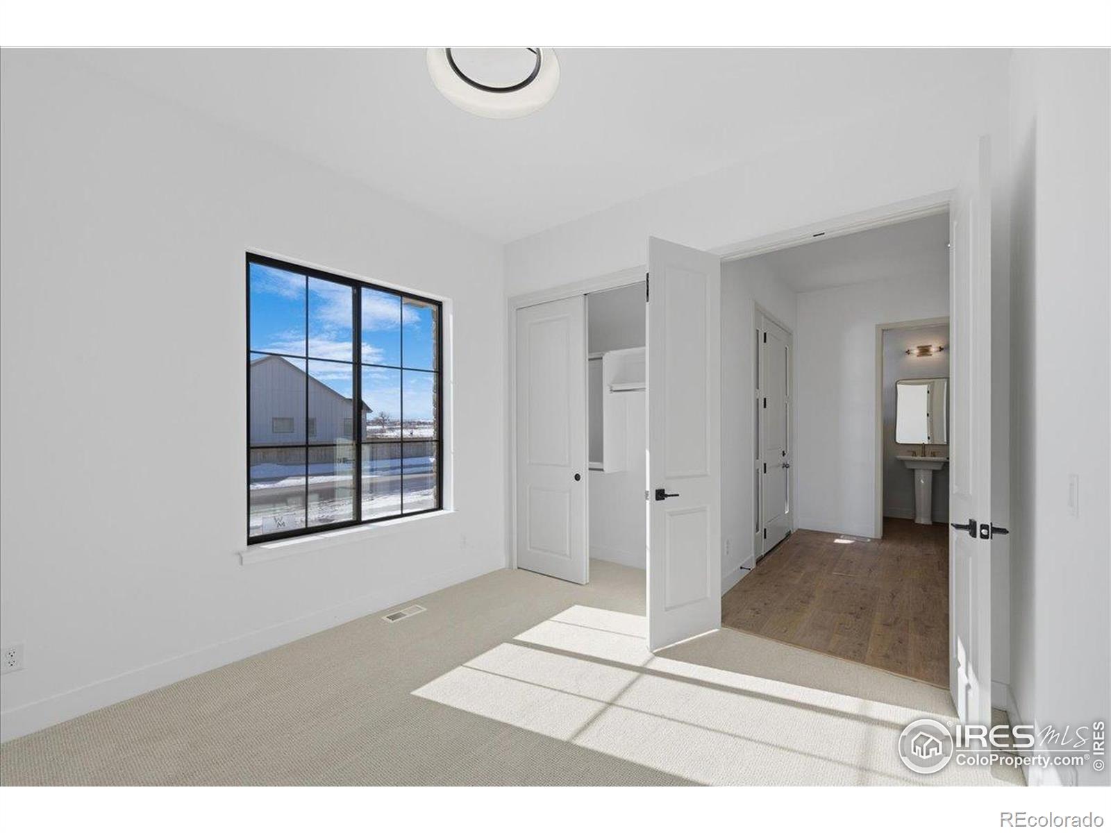MLS Image #13 for 194  boxwood drive,windsor, Colorado