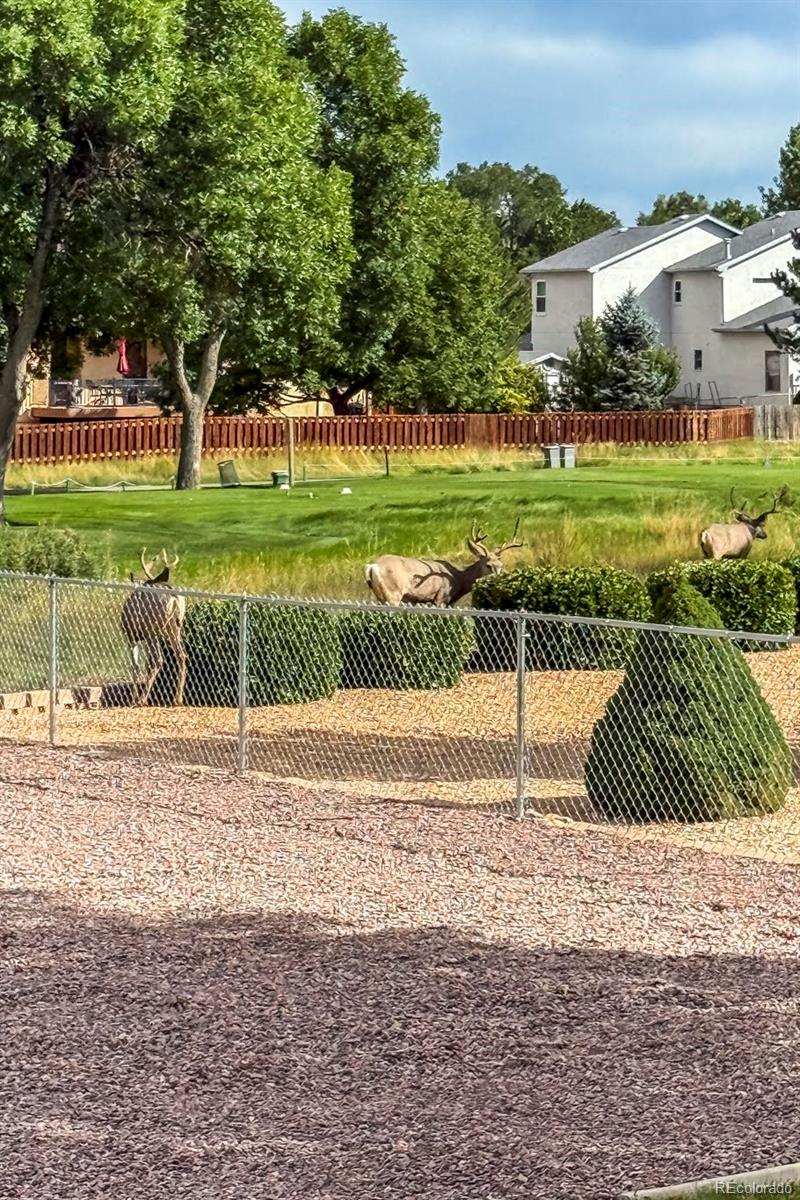MLS Image #40 for 293 w hahns peak avenue,pueblo west, Colorado