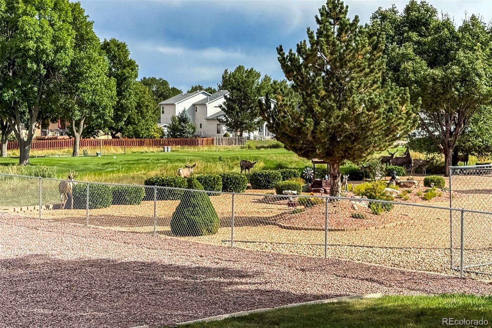 MLS Image #42 for 293 w hahns peak avenue,pueblo west, Colorado