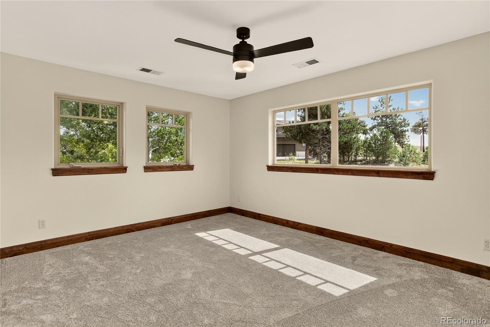 MLS Image #29 for 13585  lauriston place,colorado springs, Colorado