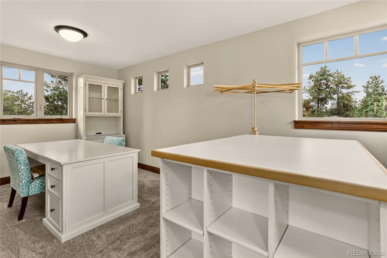 MLS Image #31 for 13585  lauriston place,colorado springs, Colorado