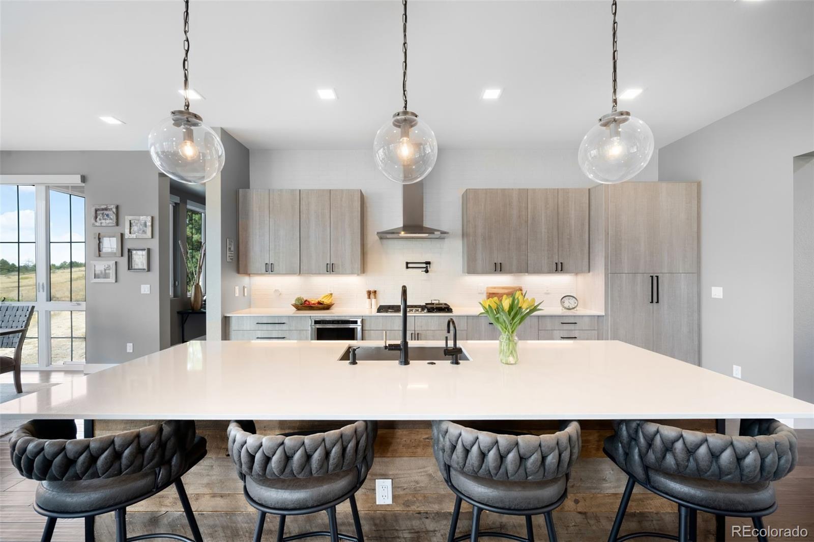 MLS Image #11 for 8203  merryvale trail,parker, Colorado