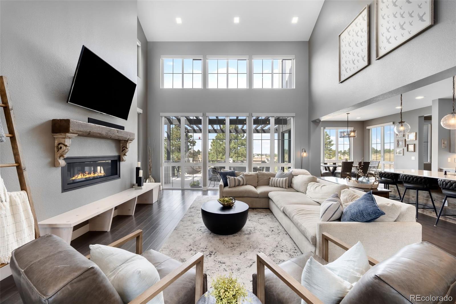 MLS Image #3 for 8203  merryvale trail,parker, Colorado