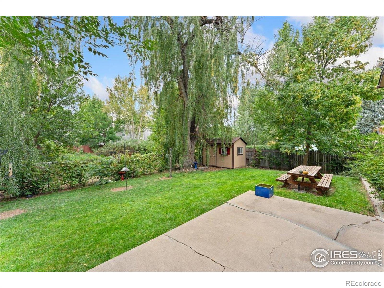 MLS Image #29 for 3224  eagle drive,fort collins, Colorado