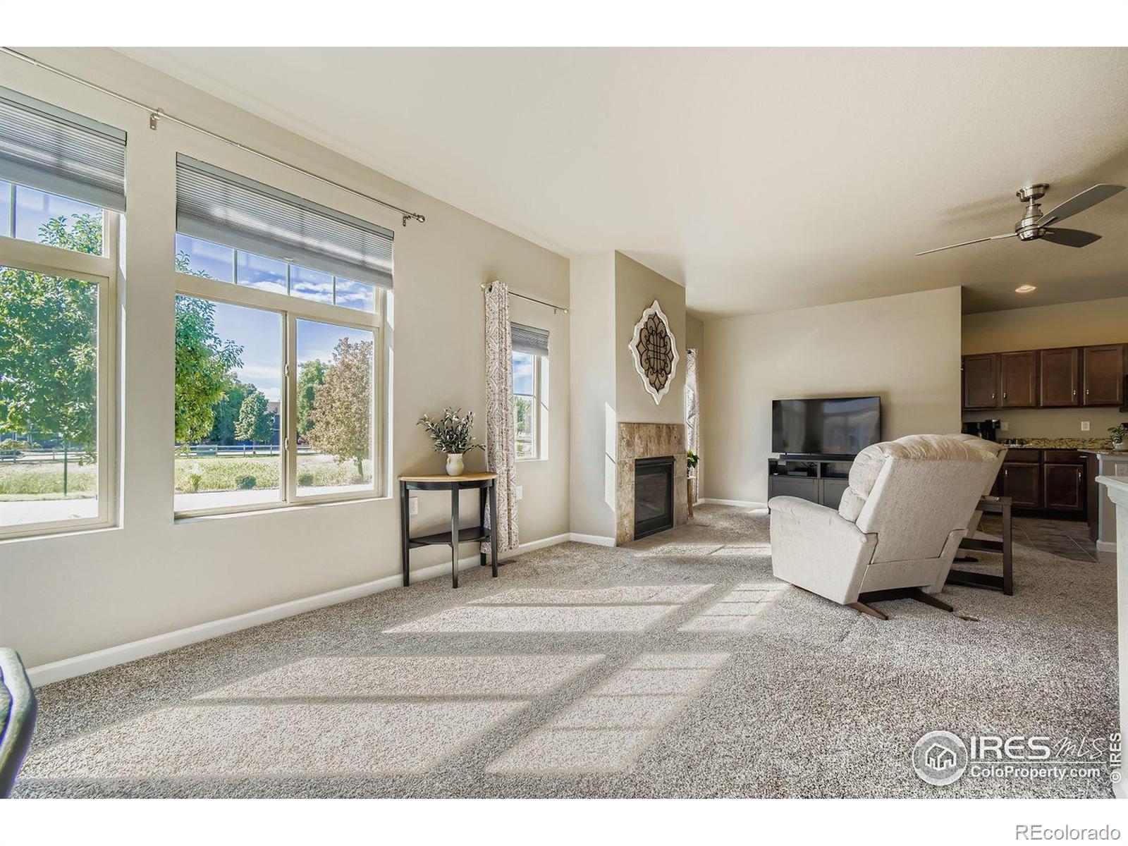 MLS Image #5 for 12424  madison way ,thornton, Colorado