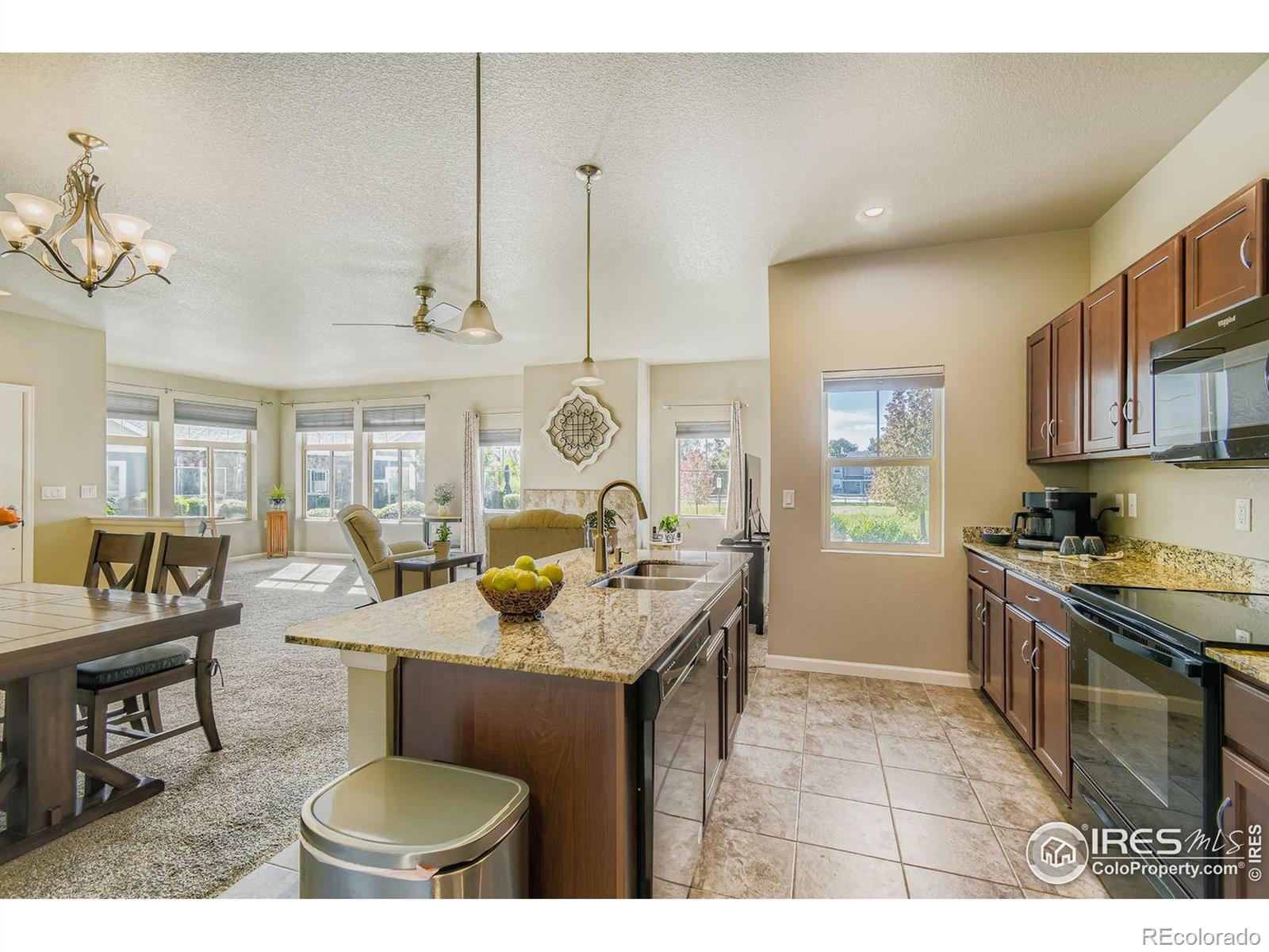 MLS Image #9 for 12424  madison way ,thornton, Colorado