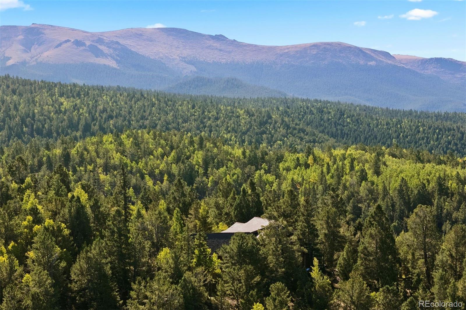 MLS Image #1 for 1010  cantiberry road,divide, Colorado