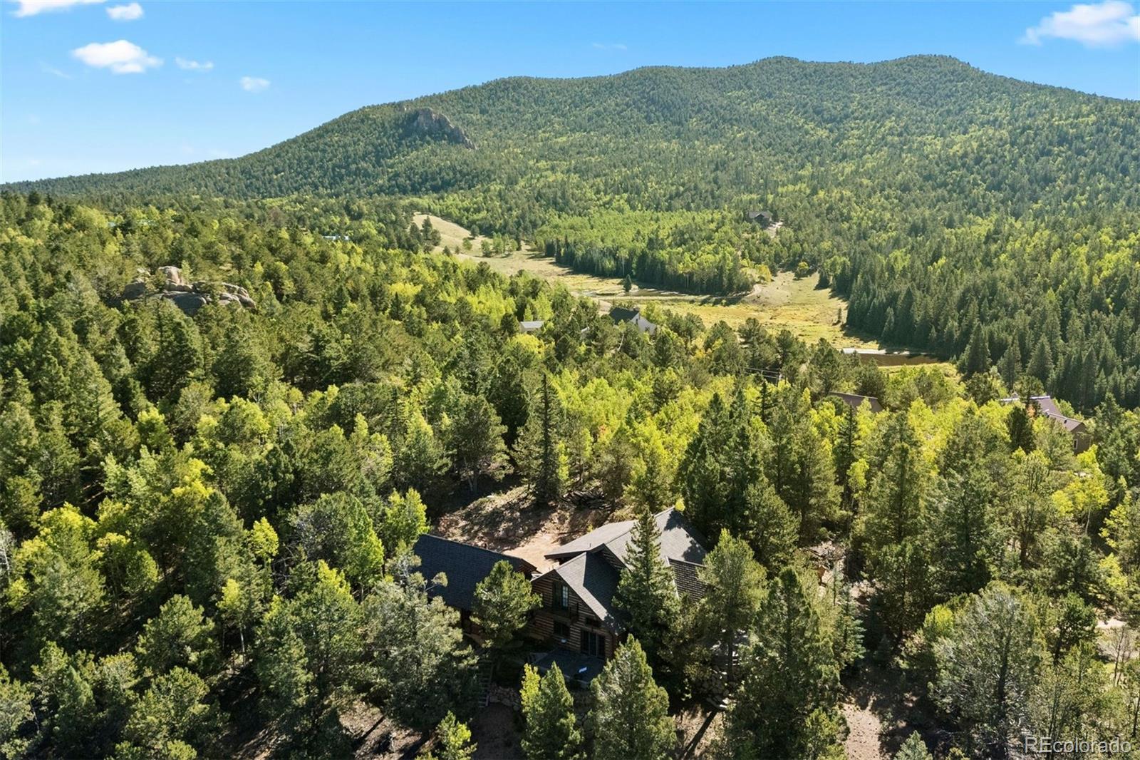 MLS Image #10 for 1010  cantiberry road,divide, Colorado