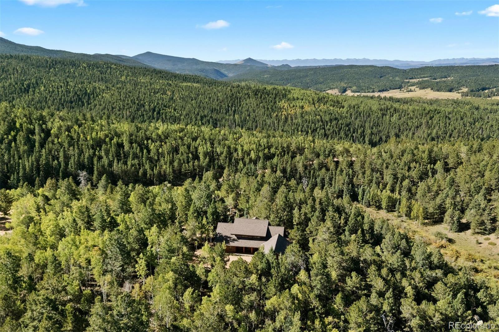 MLS Image #11 for 1010  cantiberry road,divide, Colorado