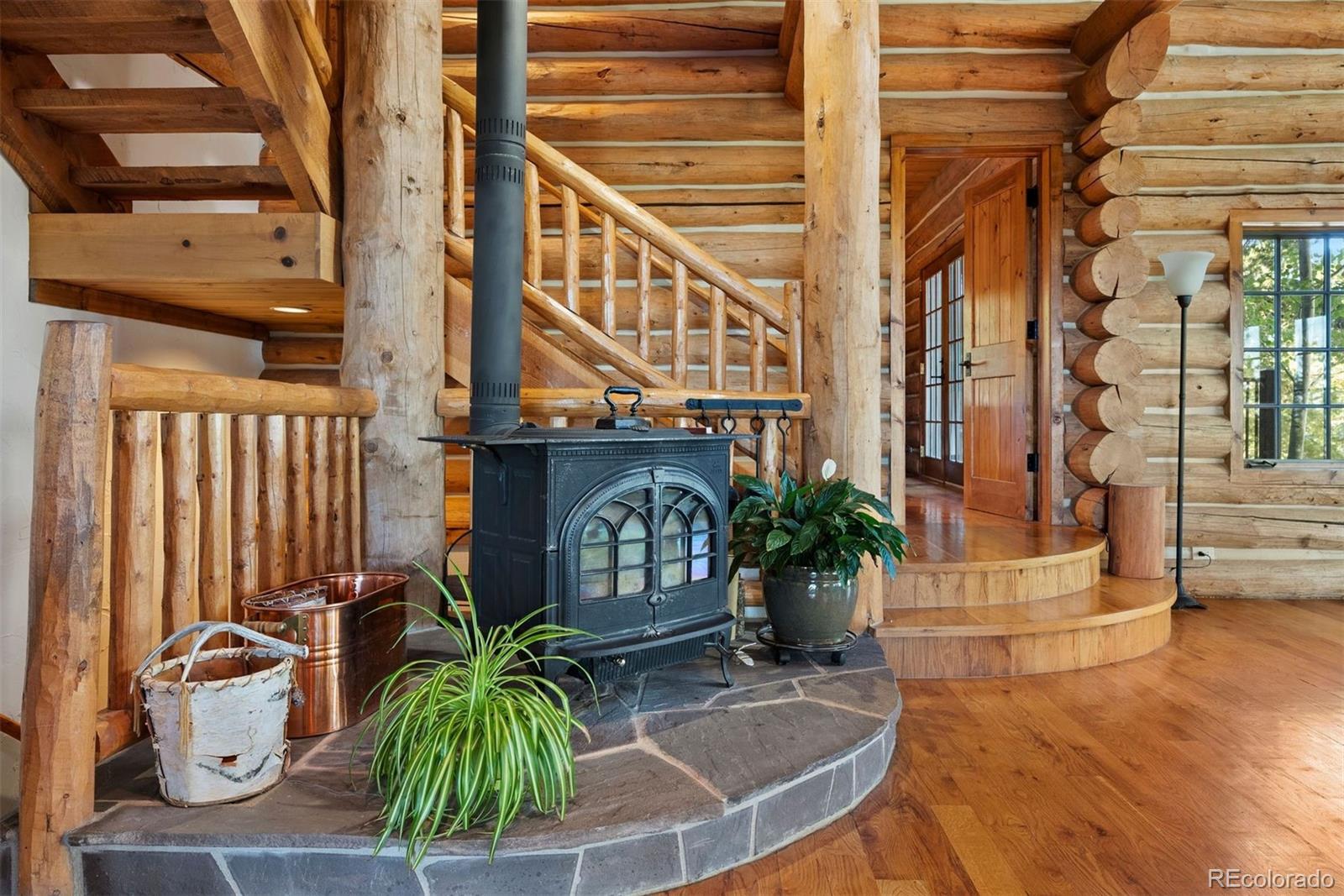 MLS Image #14 for 1010  cantiberry road,divide, Colorado