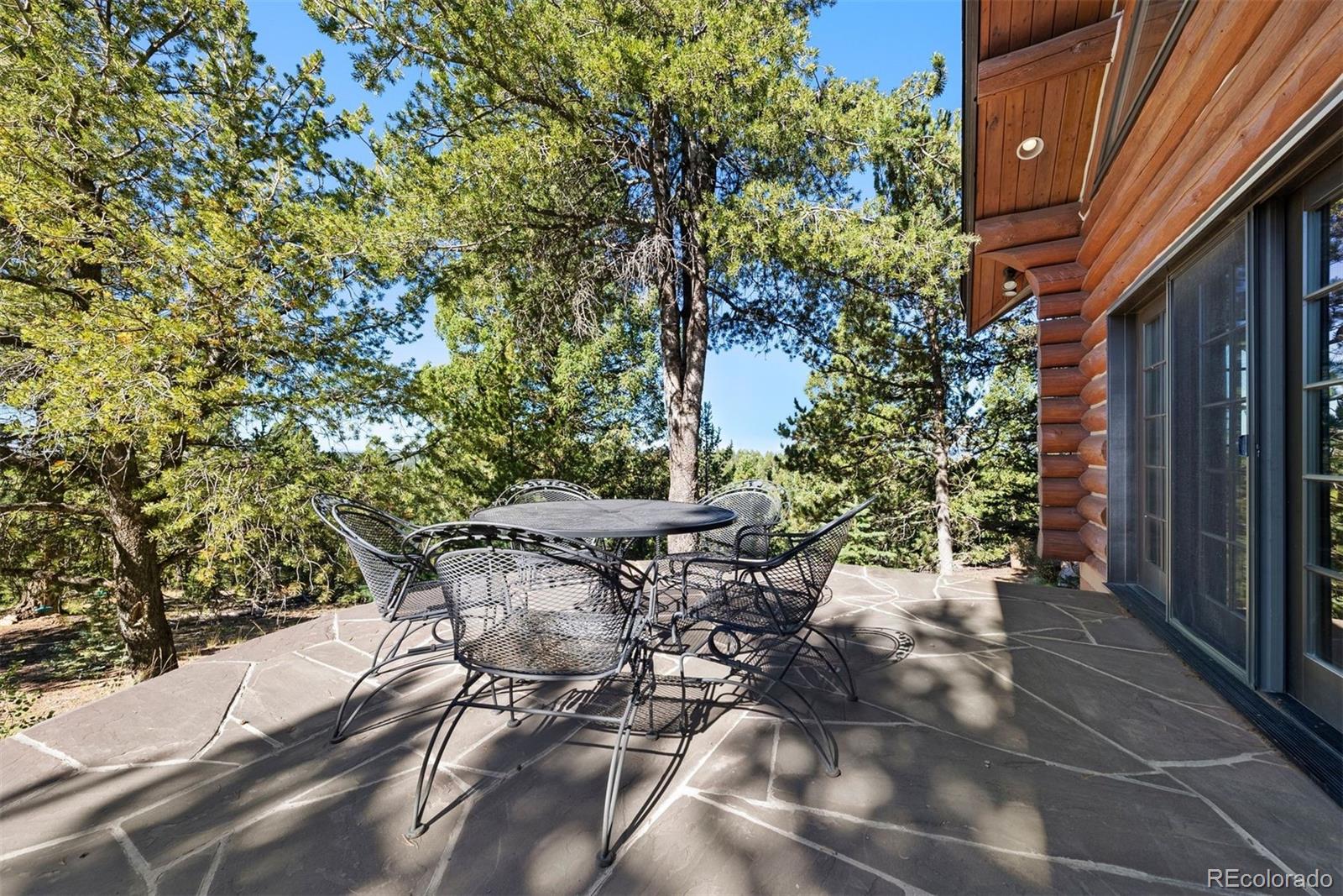 MLS Image #17 for 1010  cantiberry road,divide, Colorado