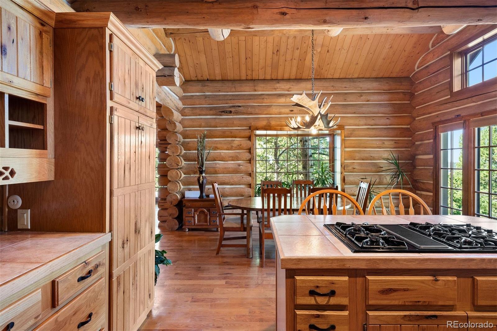 MLS Image #19 for 1010  cantiberry road,divide, Colorado