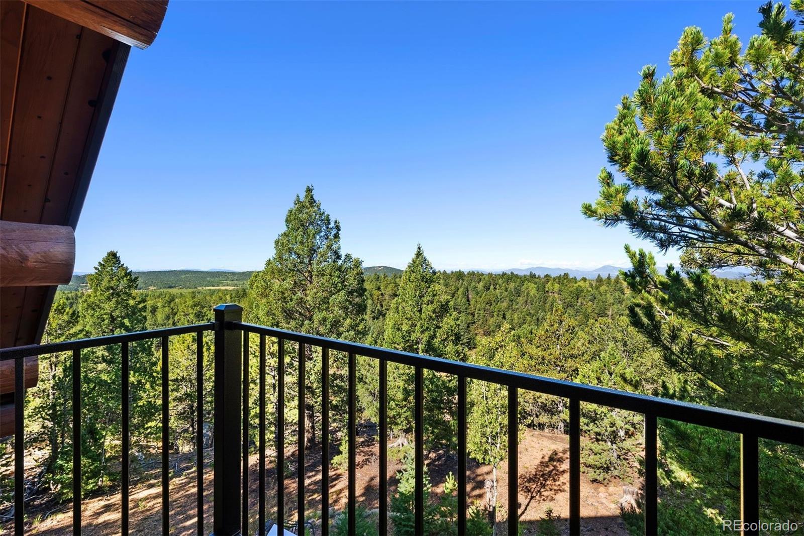 MLS Image #2 for 1010  cantiberry road,divide, Colorado