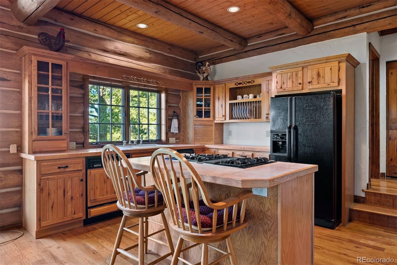 MLS Image #21 for 1010  cantiberry road,divide, Colorado