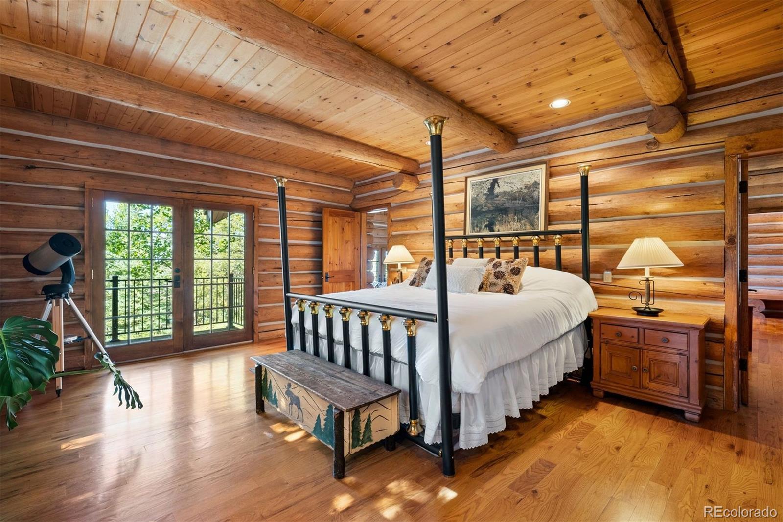 MLS Image #22 for 1010  cantiberry road,divide, Colorado