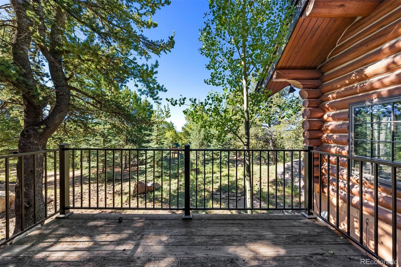 MLS Image #24 for 1010  cantiberry road,divide, Colorado