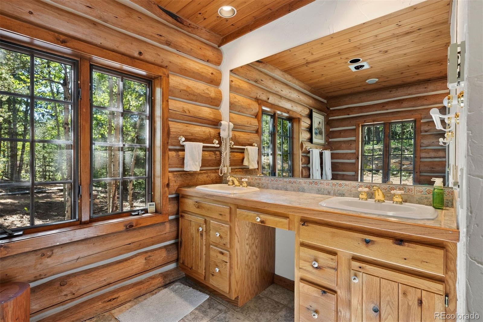 MLS Image #25 for 1010  cantiberry road,divide, Colorado