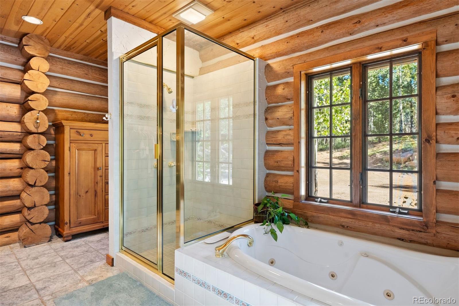 MLS Image #26 for 1010  cantiberry road,divide, Colorado