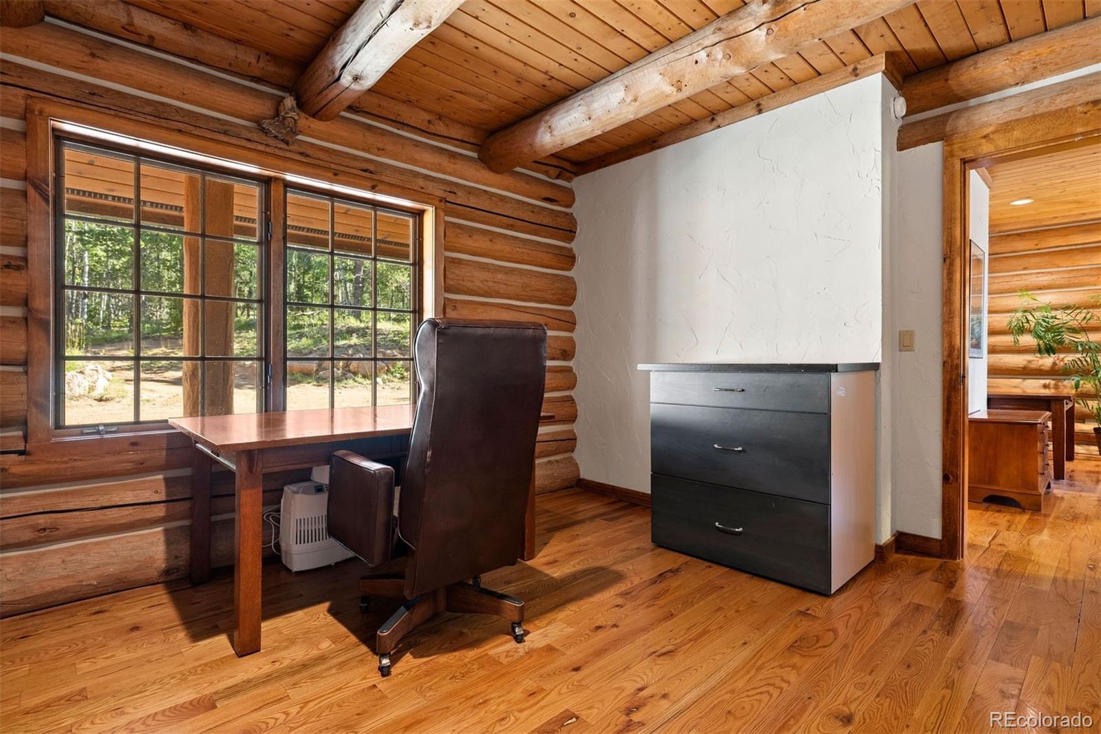 MLS Image #27 for 1010  cantiberry road,divide, Colorado