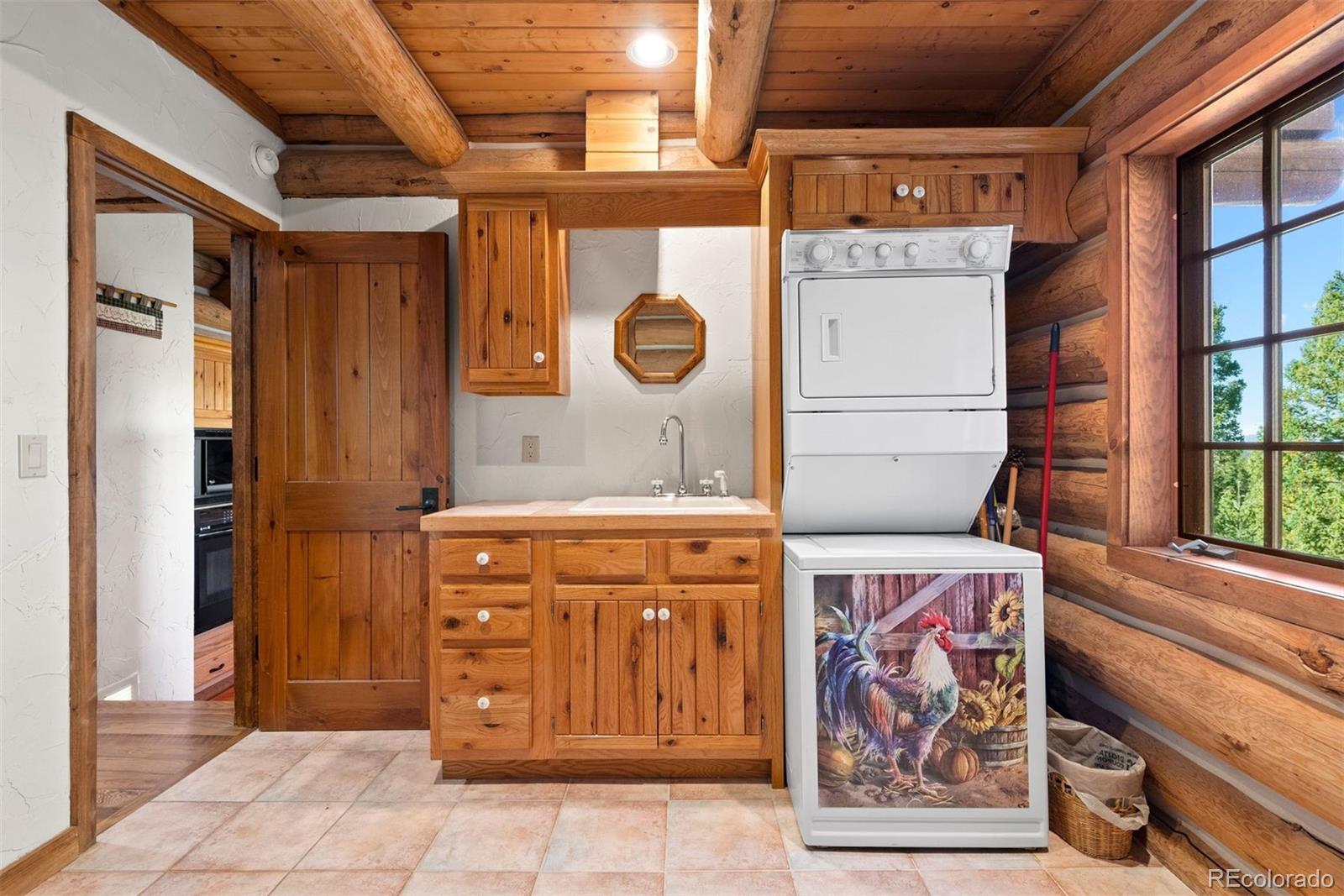 MLS Image #29 for 1010  cantiberry road,divide, Colorado