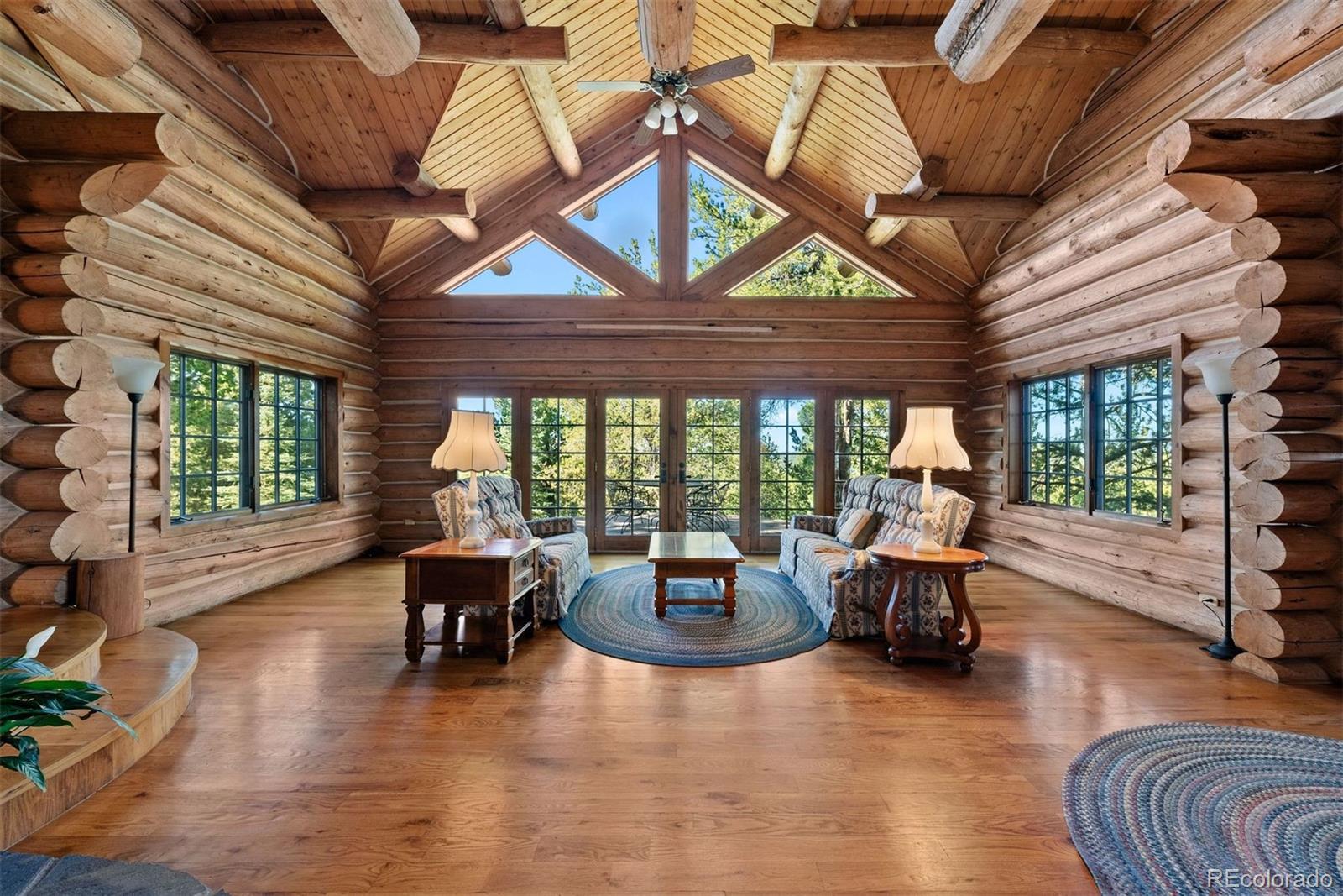 MLS Image #3 for 1010  cantiberry road,divide, Colorado