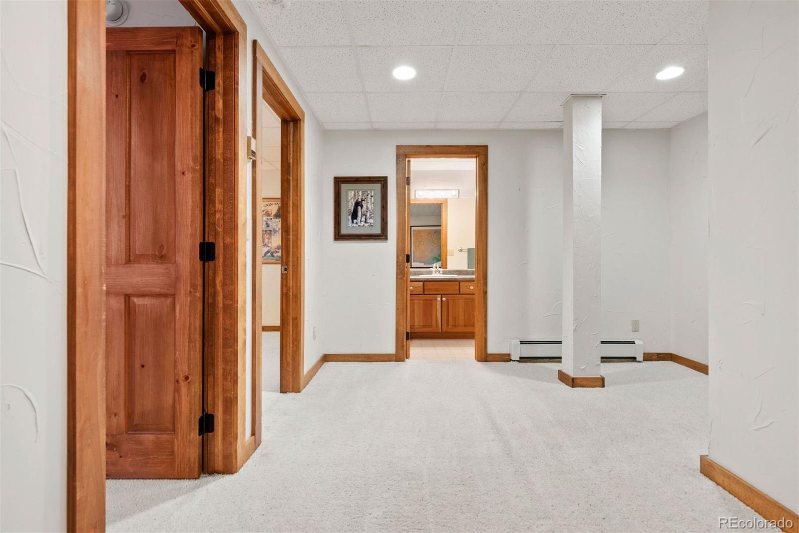 MLS Image #35 for 1010  cantiberry road,divide, Colorado