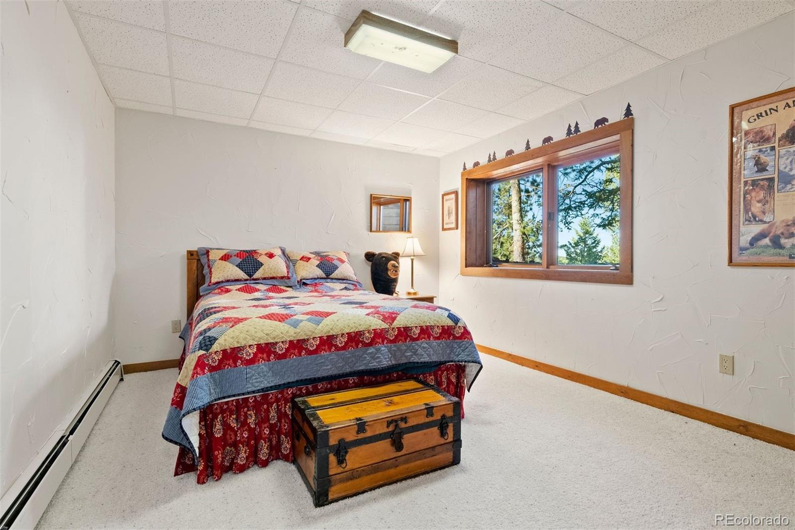 MLS Image #36 for 1010  cantiberry road,divide, Colorado