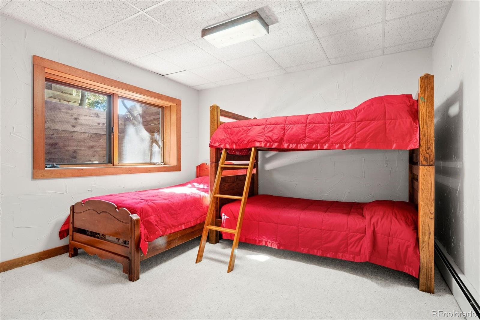 MLS Image #37 for 1010  cantiberry road,divide, Colorado