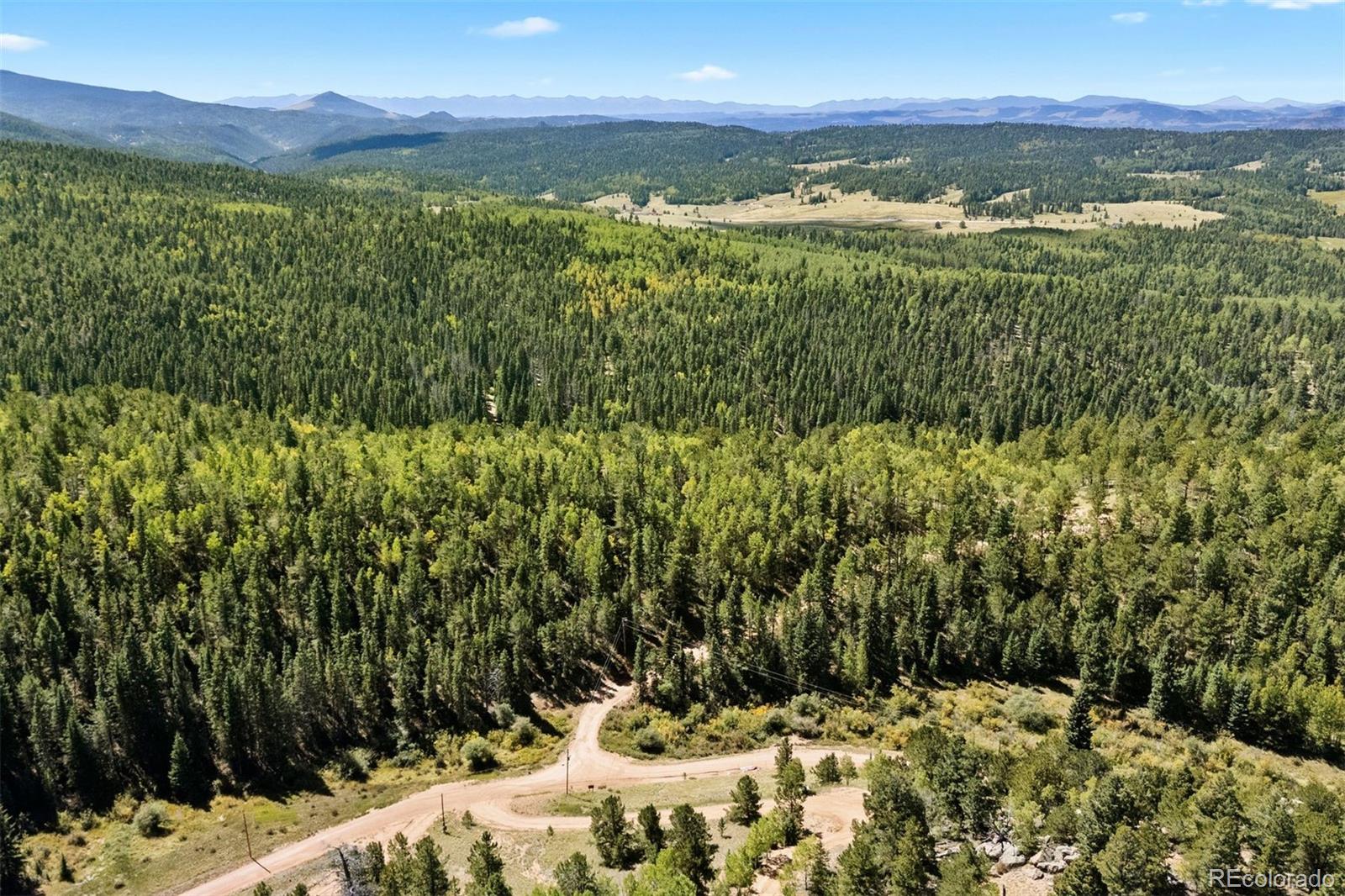 MLS Image #44 for 1010  cantiberry road,divide, Colorado
