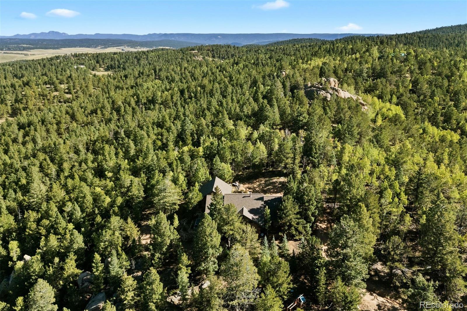 MLS Image #45 for 1010  cantiberry road,divide, Colorado