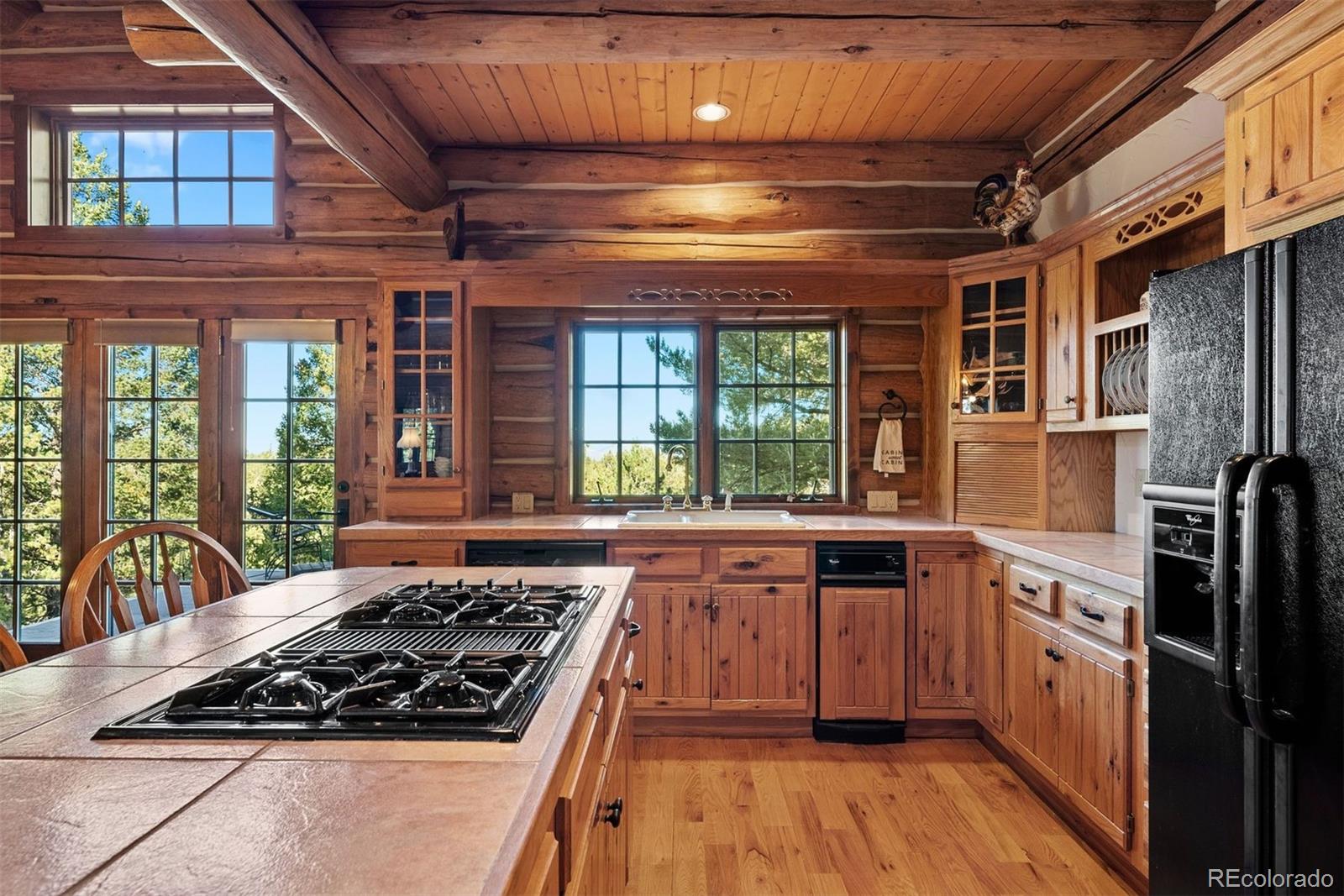 MLS Image #7 for 1010  cantiberry road,divide, Colorado