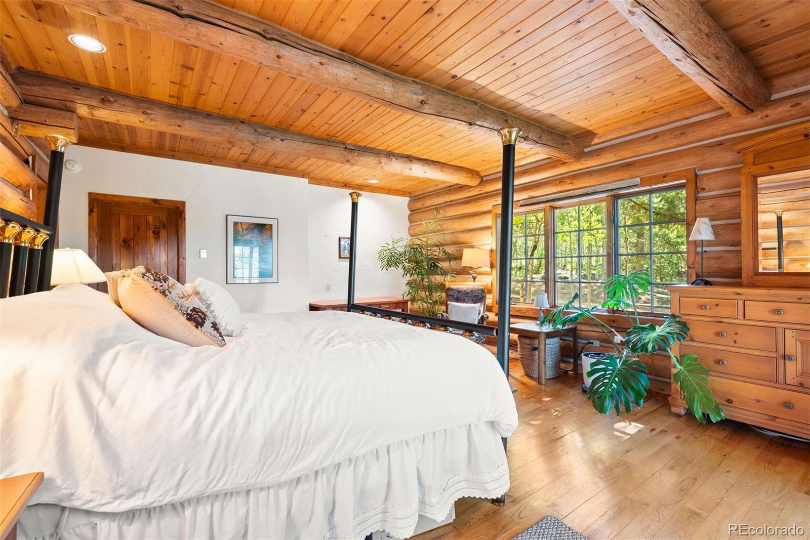 MLS Image #8 for 1010  cantiberry road,divide, Colorado