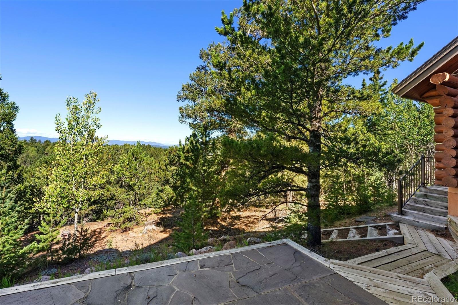 MLS Image #9 for 1010  cantiberry road,divide, Colorado