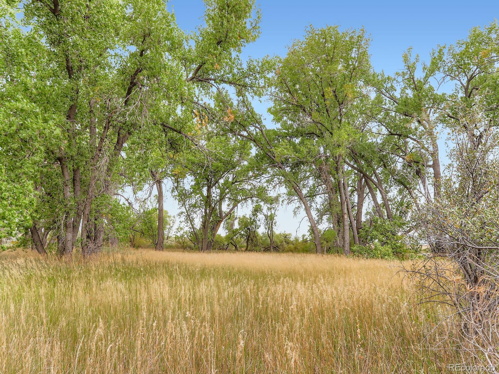 MLS Image #30 for 15000  county road 8 ,fort lupton, Colorado
