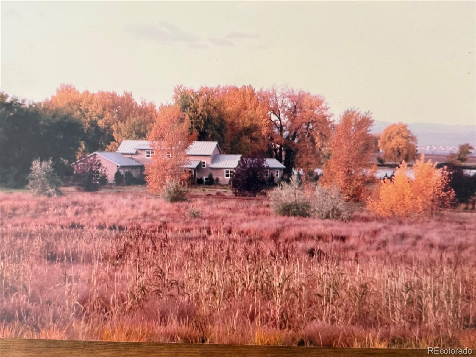 MLS Image #41 for 15000  county road 8 ,fort lupton, Colorado