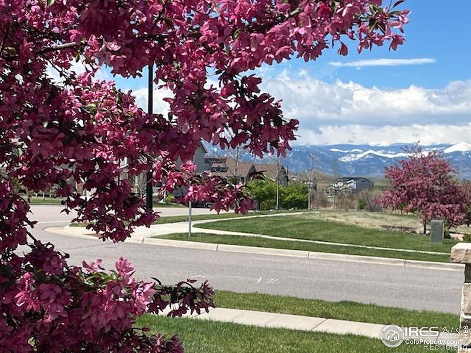 MLS Image #4 for 620  sundance circle,erie, Colorado