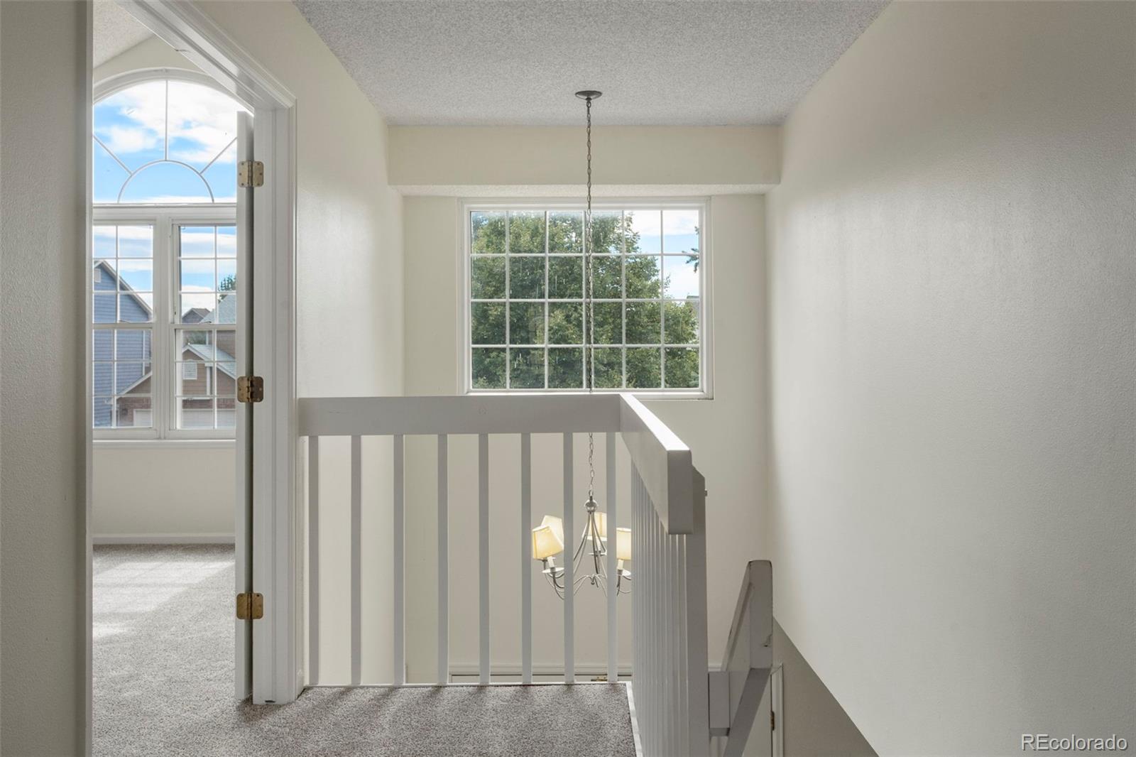 MLS Image #19 for 4955  ramblewood drive,colorado springs, Colorado