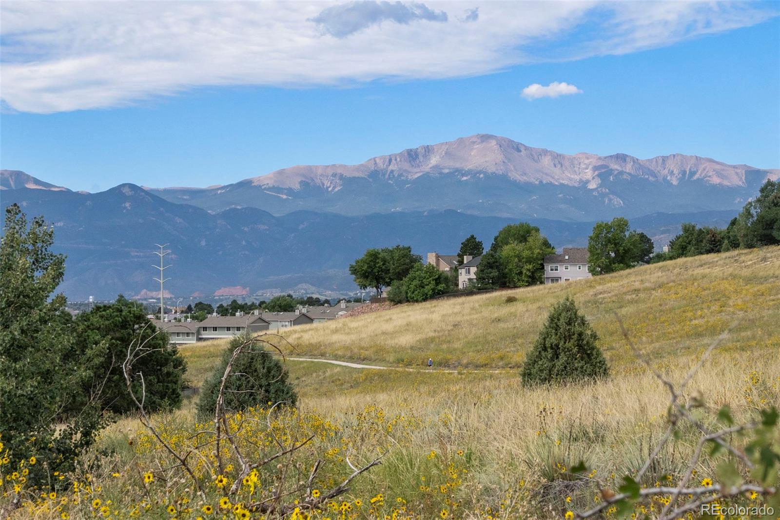 MLS Image #4 for 4955  ramblewood drive,colorado springs, Colorado