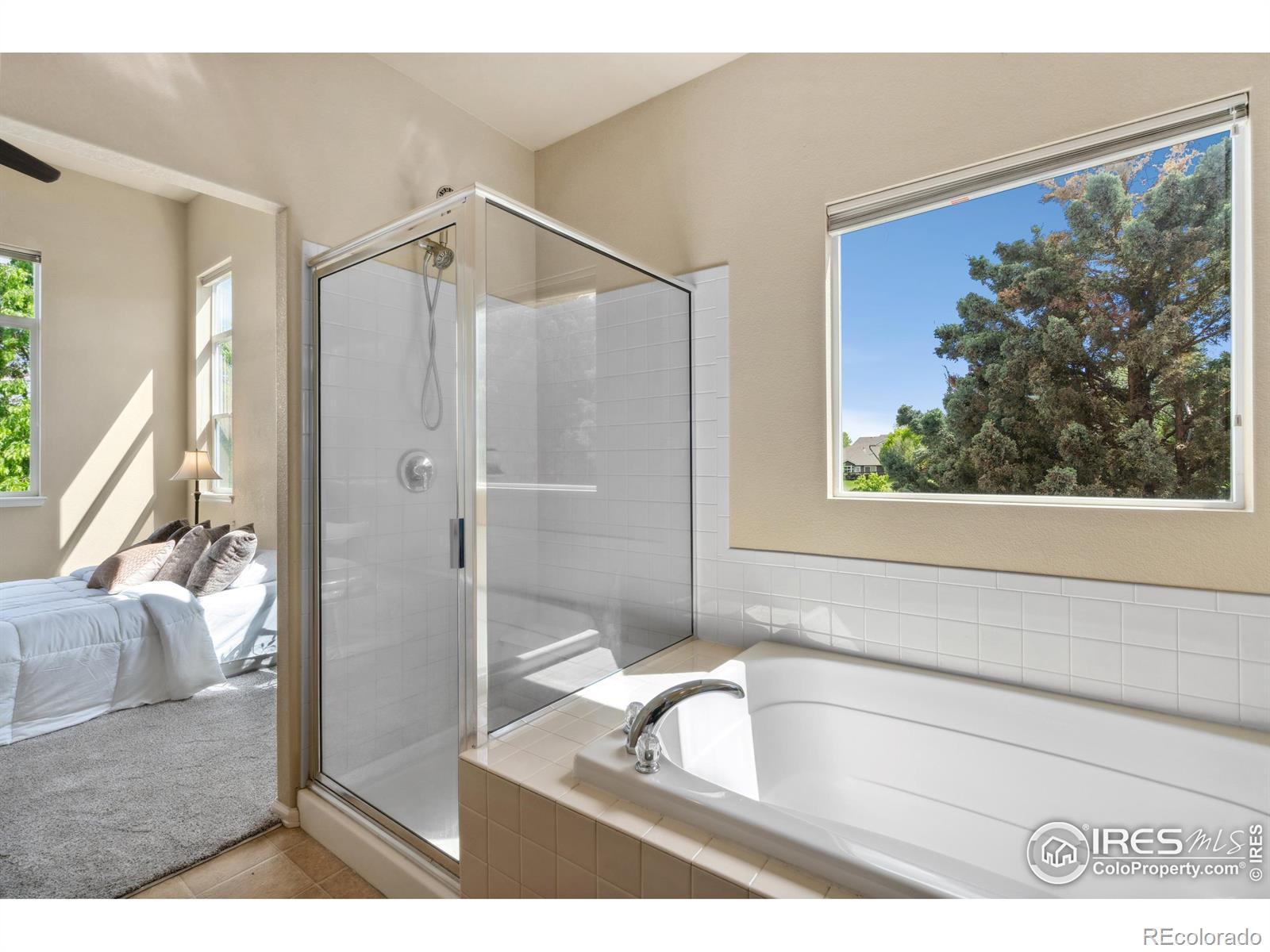 MLS Image #11 for 7368  new raymer court,fort collins, Colorado