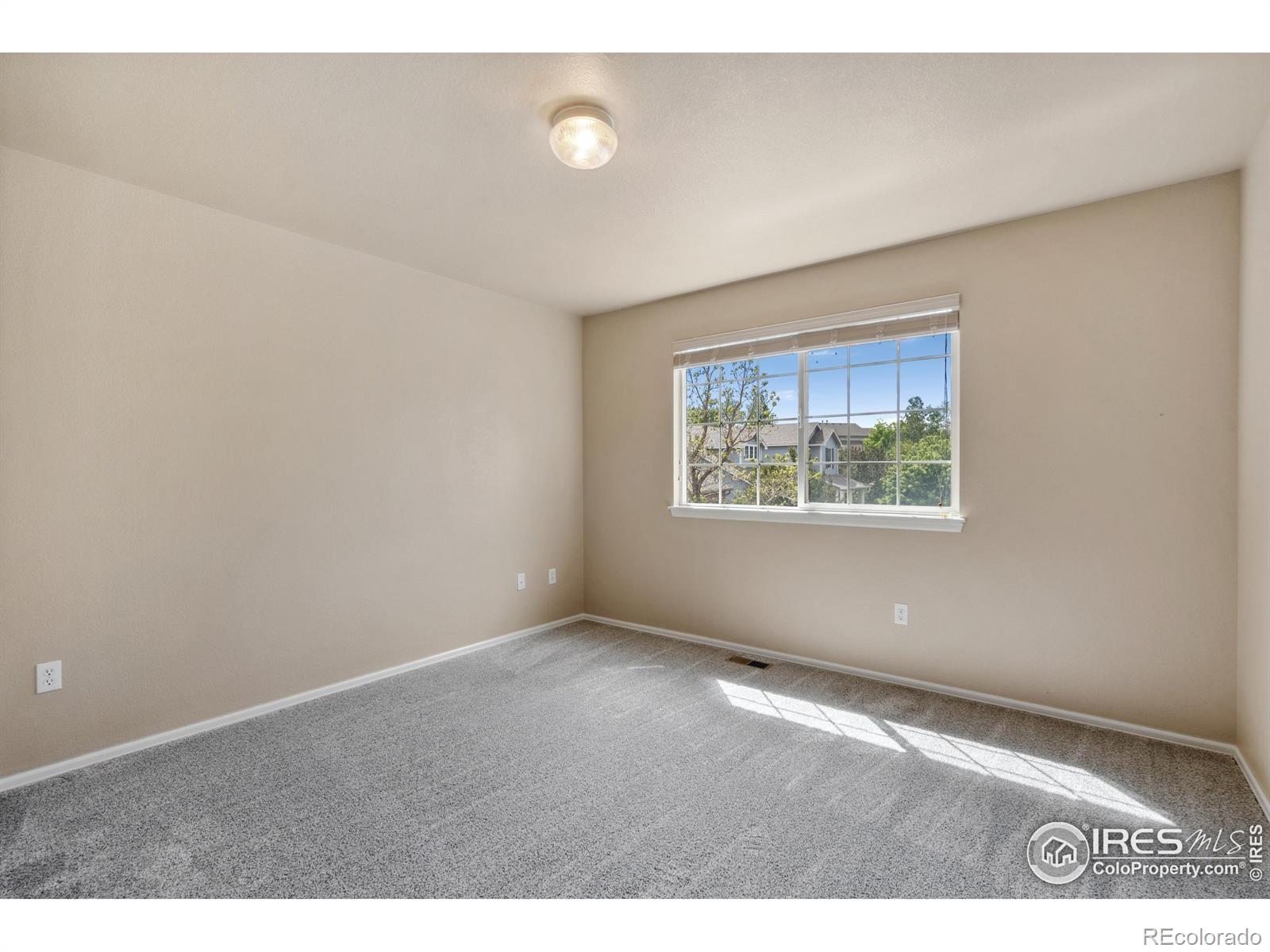 MLS Image #13 for 7368  new raymer court,fort collins, Colorado