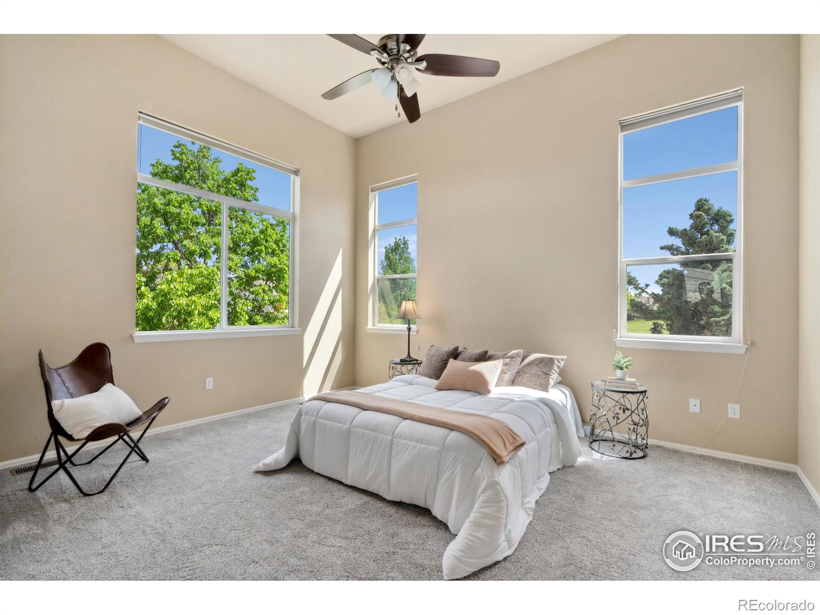 MLS Image #8 for 7368  new raymer court,fort collins, Colorado