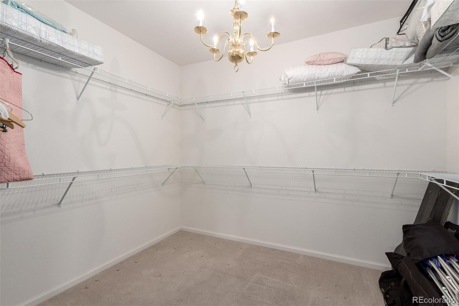 MLS Image #13 for 21132  hawthorne lane,parker, Colorado