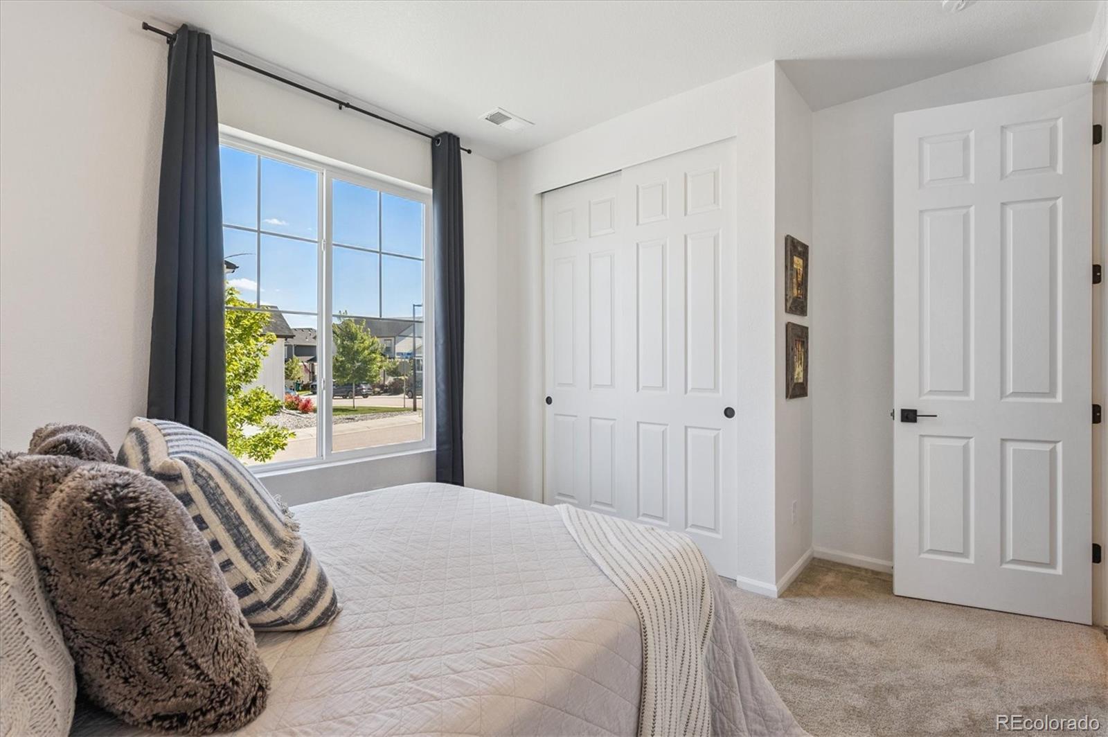 MLS Image #17 for 4845  gray wolf lane,castle rock, Colorado