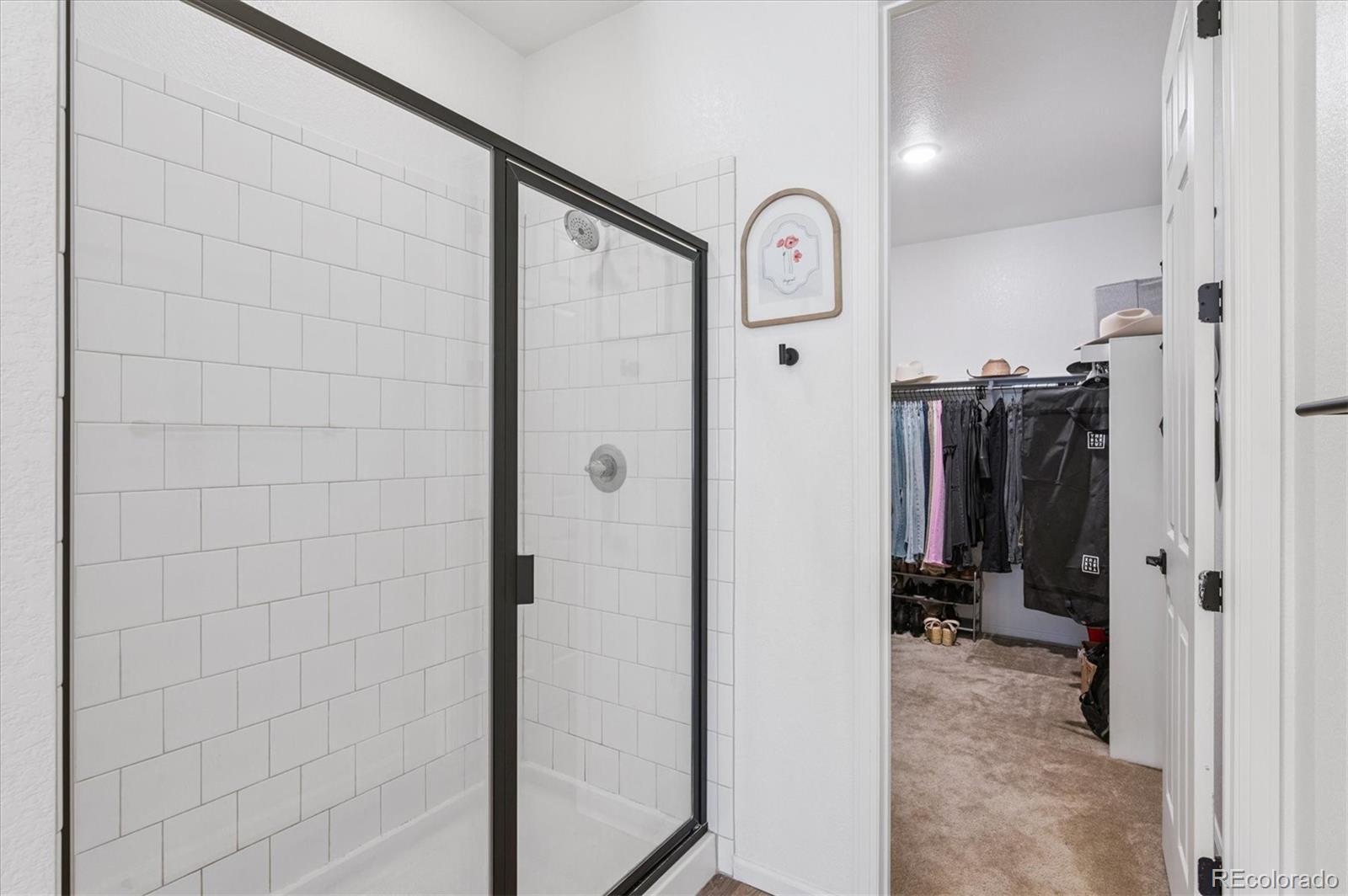 MLS Image #28 for 4845  gray wolf lane,castle rock, Colorado