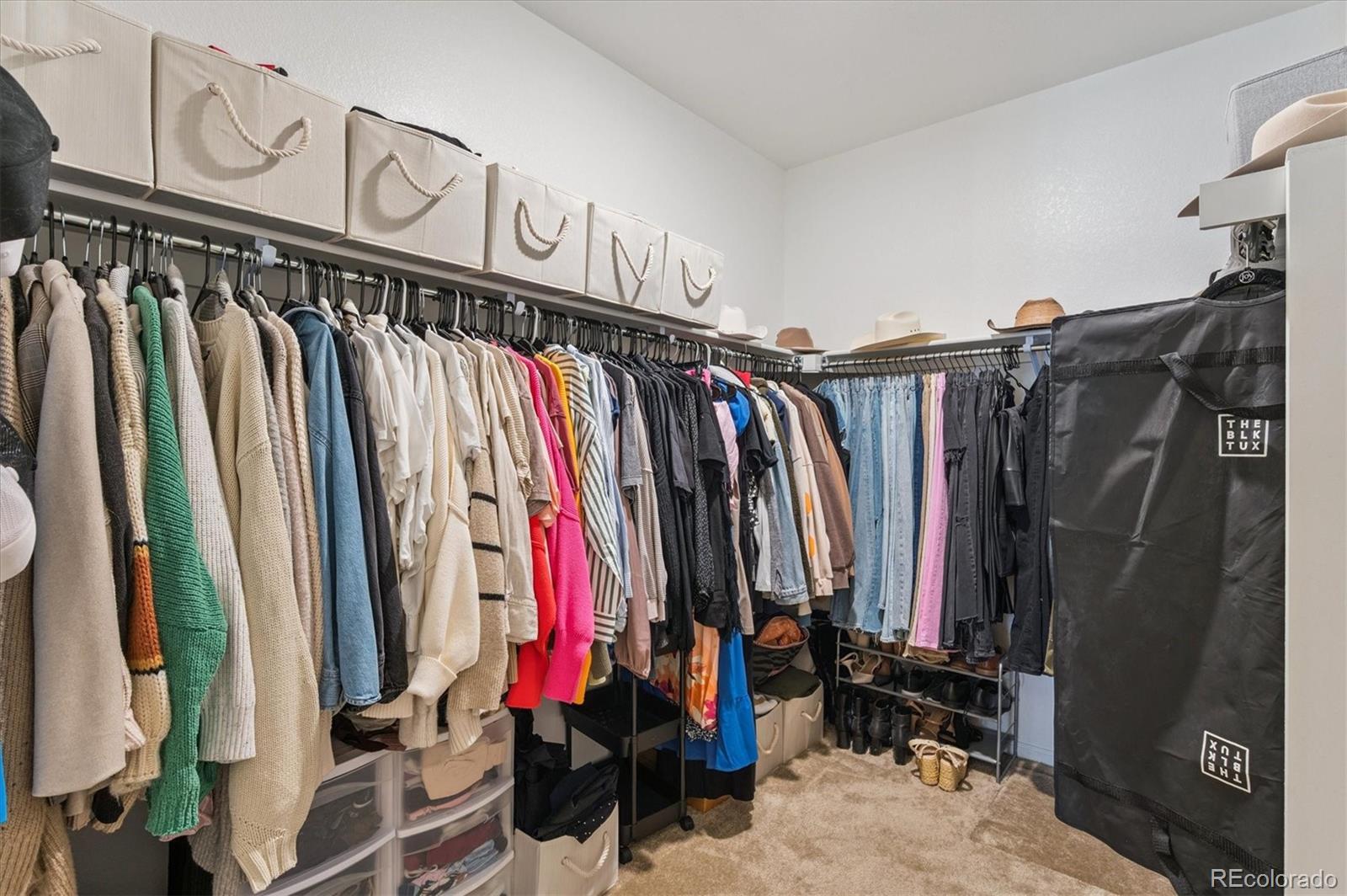 MLS Image #29 for 4845  gray wolf lane,castle rock, Colorado