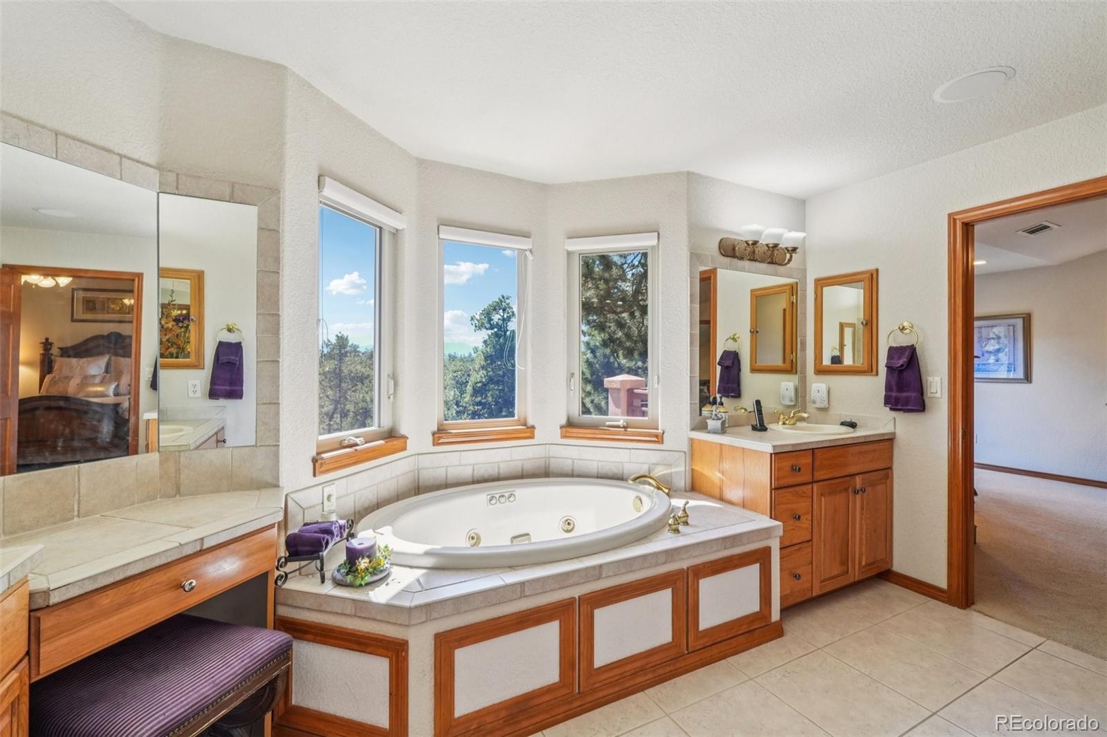 MLS Image #23 for 17552  colonial park drive,monument, Colorado