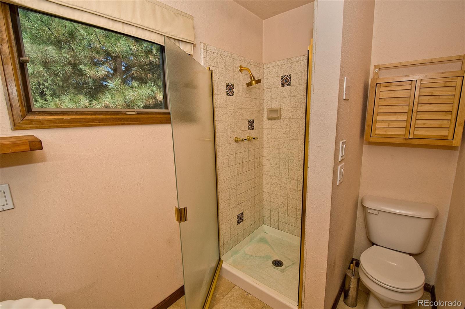MLS Image #32 for 248 w silver avenue,crestone, Colorado